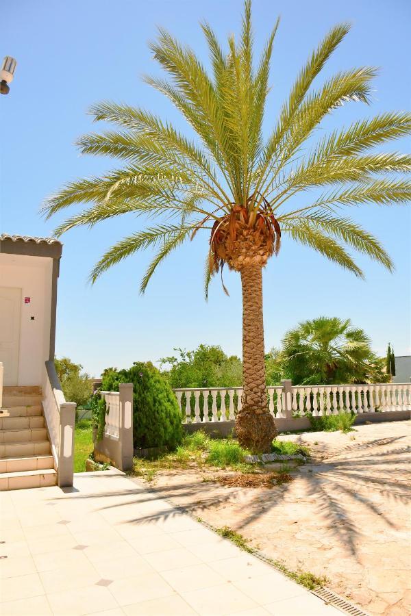 Kiwidestiny Alicante San Juan  Εξωτερικό φωτογραφία